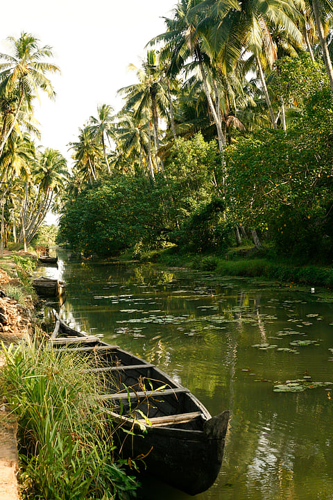 The backwaters of Alleppey, Kerala